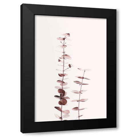 Eucalyptus Copper No 02 Black Modern Wood Framed Art Print with Double Matting by 1x Studio III