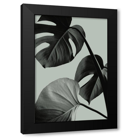 Monstera Teal 07 Black Modern Wood Framed Art Print by 1x Studio III