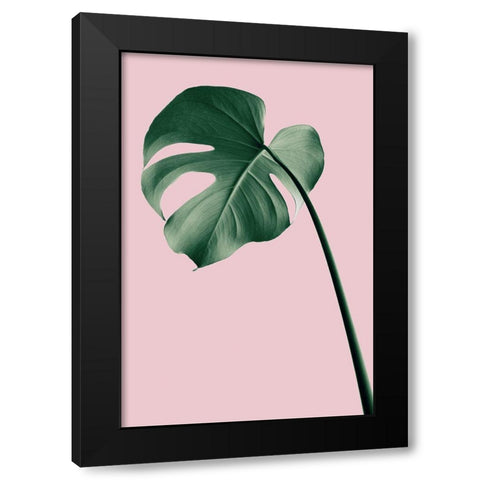 Monstera Pink No 05 Black Modern Wood Framed Art Print by 1x Studio III
