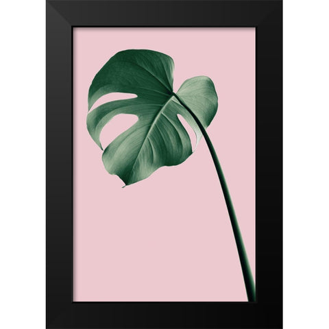 Monstera Pink No 05 Black Modern Wood Framed Art Print by 1x Studio III