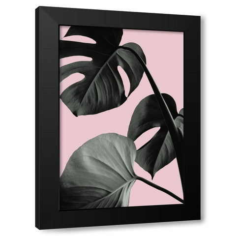 Monstera Pink No 04 Black Modern Wood Framed Art Print by 1x Studio III