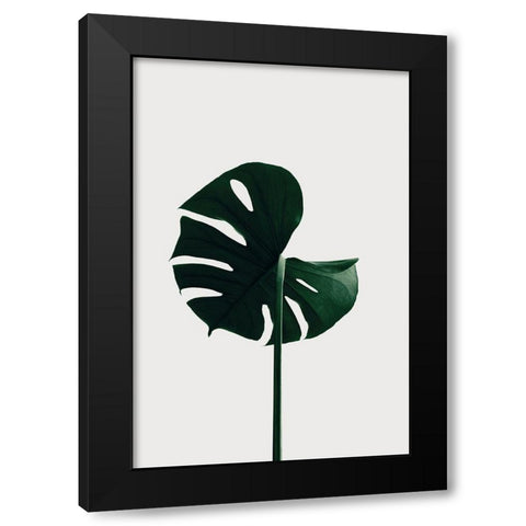 Monstera Natural 06 Black Modern Wood Framed Art Print with Double Matting by 1x Studio III
