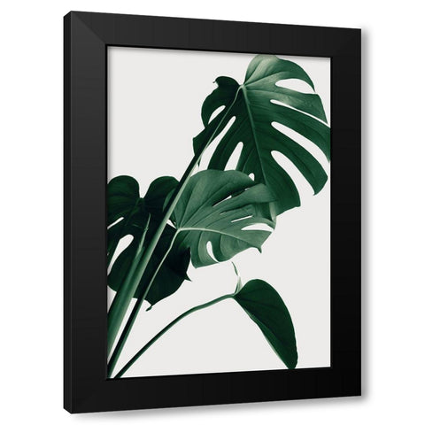 Monstera Natural 22 Black Modern Wood Framed Art Print with Double Matting by 1x Studio III