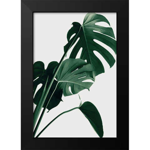 Monstera Natural 22 Black Modern Wood Framed Art Print by 1x Studio III