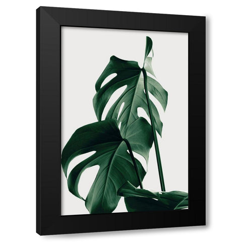 Monstera Natural 26 Black Modern Wood Framed Art Print with Double Matting by 1x Studio III