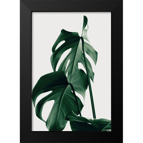 Monstera Natural 26 Black Modern Wood Framed Art Print by 1x Studio III