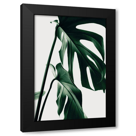 Monstera Natural 27 Black Modern Wood Framed Art Print by 1x Studio III