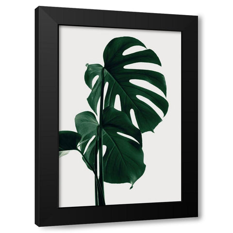 Monstera Natural 28 Black Modern Wood Framed Art Print with Double Matting by 1x Studio III