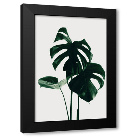 Monstera Natural 29 Black Modern Wood Framed Art Print by 1x Studio III