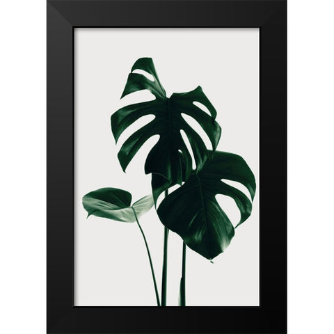 Monstera Natural 29 Black Modern Wood Framed Art Print by 1x Studio III