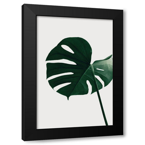 Monstera Natural 33 Black Modern Wood Framed Art Print with Double Matting by 1x Studio III