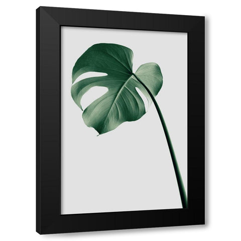 Monstera Natural 36 Black Modern Wood Framed Art Print with Double Matting by 1x Studio III