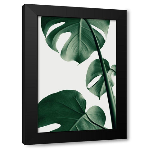 Monstera Natural 37 Black Modern Wood Framed Art Print with Double Matting by 1x Studio III