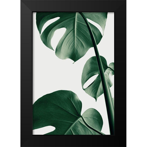 Monstera Natural 37 Black Modern Wood Framed Art Print by 1x Studio III