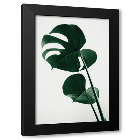 Monstera Natural 41 Black Modern Wood Framed Art Print by 1x Studio III