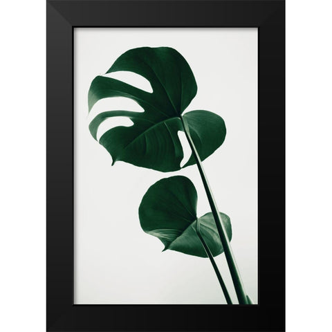 Monstera Natural 41 Black Modern Wood Framed Art Print by 1x Studio III
