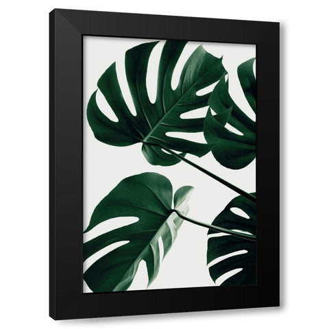 Monstera Natural 43 Black Modern Wood Framed Art Print by 1x Studio III