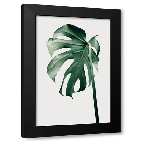 Monstera Natural 44 Black Modern Wood Framed Art Print by 1x Studio III