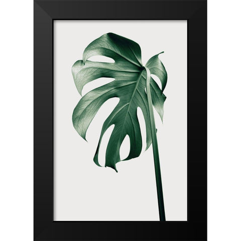 Monstera Natural 44 Black Modern Wood Framed Art Print by 1x Studio III
