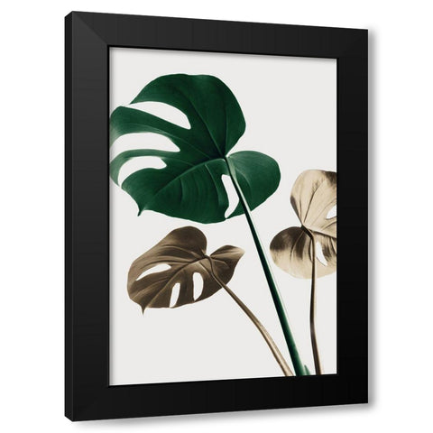 Monstera Mix 04 Black Modern Wood Framed Art Print with Double Matting by 1x Studio III