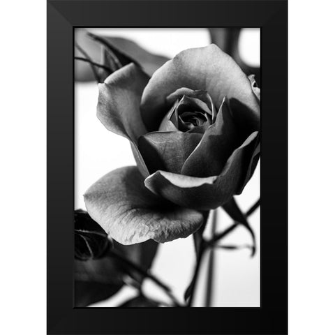 Let Me Know Black Modern Wood Framed Art Print by Stella, CYAN