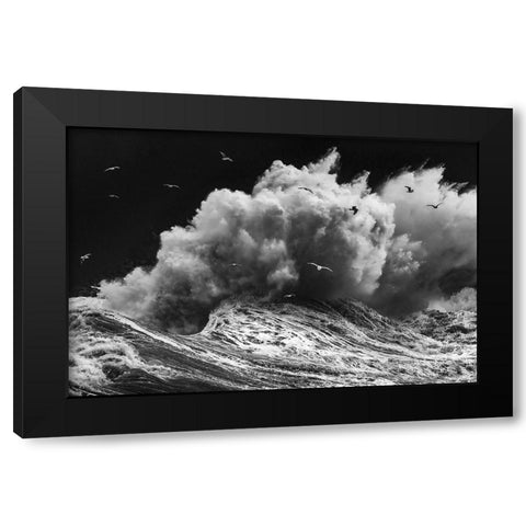 Birds In The Storm (Part 1) Black Modern Wood Framed Art Print by Lazzarotti, Paolo