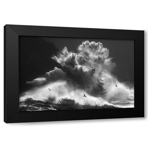 Birds In The Storm (Part 8) Black Modern Wood Framed Art Print with Double Matting by Lazzarotti, Paolo