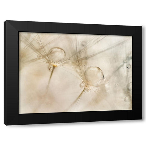 Watercolors Black Modern Wood Framed Art Print by Talen, Nel