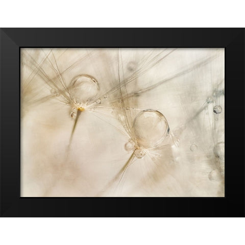 Watercolors Black Modern Wood Framed Art Print by Talen, Nel