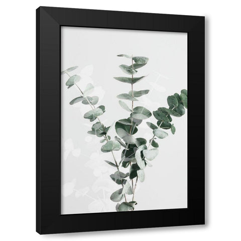 Eucalyptus Creative 01 Black Modern Wood Framed Art Print by 1x Studio III