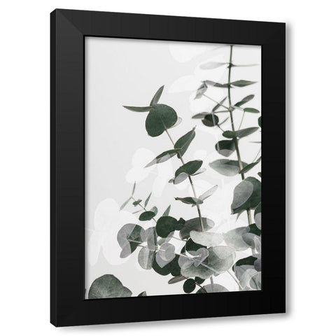 Eucalyptus Creative 03 Black Modern Wood Framed Art Print by 1x Studio III