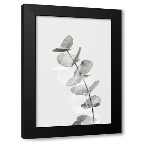 Eucalyptus Creative 05 Black Modern Wood Framed Art Print with Double Matting by 1x Studio III
