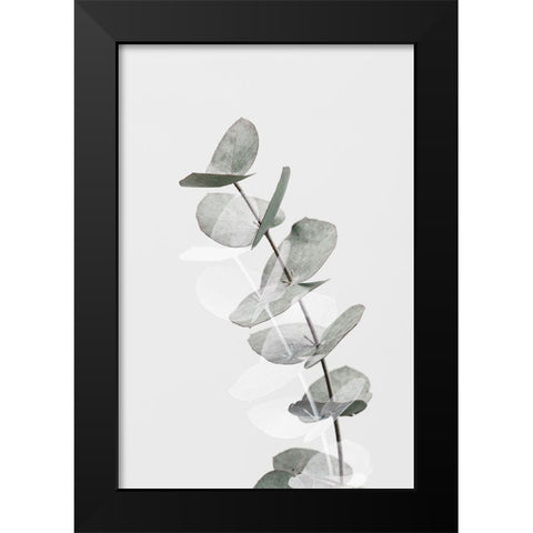 Eucalyptus Creative 05 Black Modern Wood Framed Art Print by 1x Studio III