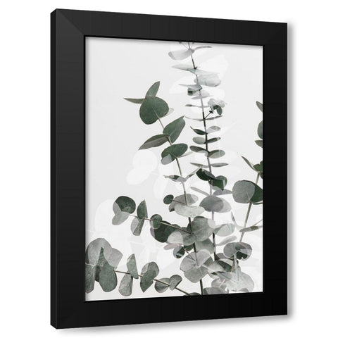Eucalyptus Creative 06 Black Modern Wood Framed Art Print with Double Matting by 1x Studio III