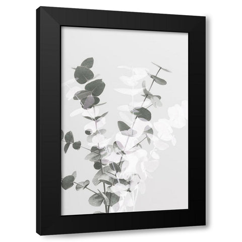 Eucalyptus Creative 08 Black Modern Wood Framed Art Print by 1x Studio III