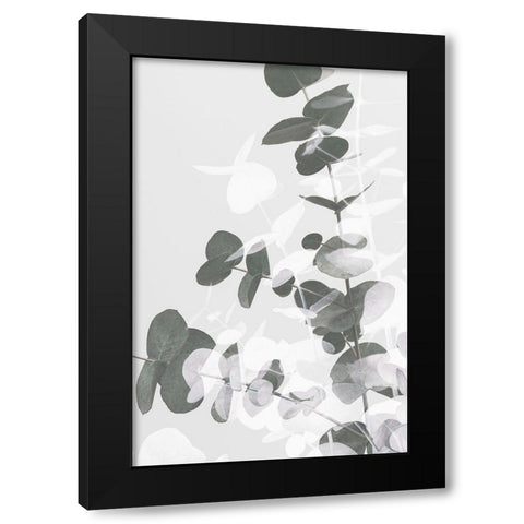 Eucalyptus Creative 09 Black Modern Wood Framed Art Print by 1x Studio III