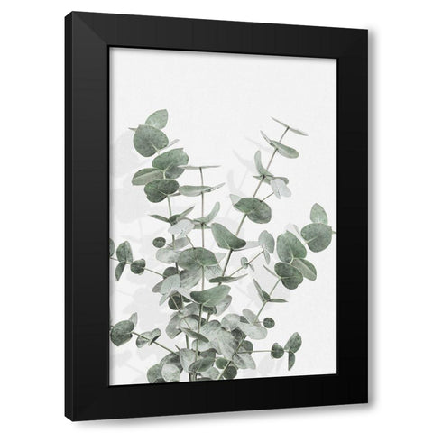 Eucalyptus Creative 16 Black Modern Wood Framed Art Print with Double Matting by 1x Studio III