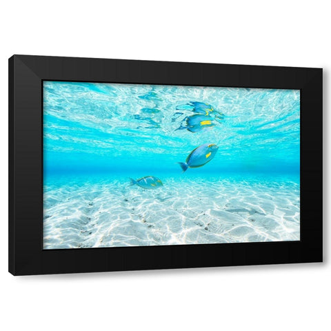 Blue Lagoon Black Modern Wood Framed Art Print with Double Matting by Gabriel, Barathieu
