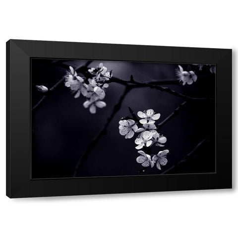 Qpetite Fleur De Mes Nuitsq Black Modern Wood Framed Art Print by CelineM