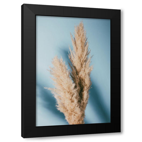 Pampas Grass Blue Black Modern Wood Framed Art Print by 1x Studio III