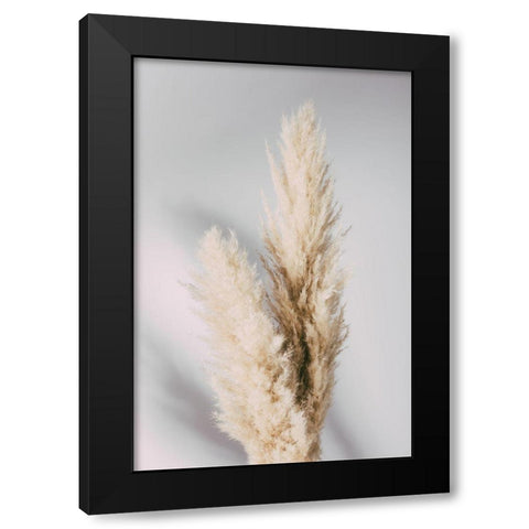 Pampas Grass Grey Black Modern Wood Framed Art Print by 1x Studio III