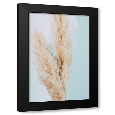 Pampas Grass Blue 02 Black Modern Wood Framed Art Print with Double Matting by 1x Studio III