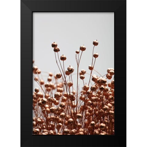 Dried Grass Copper 02 Black Modern Wood Framed Art Print by 1x Studio III