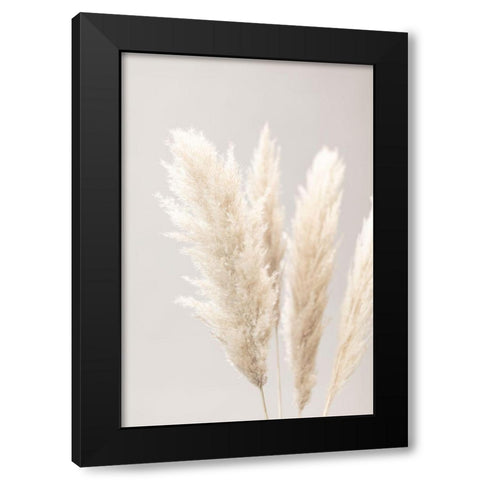 Pampas Grass Grey 02 Black Modern Wood Framed Art Print with Double Matting by 1x Studio III
