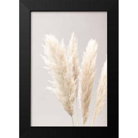 Pampas Grass Grey 02 Black Modern Wood Framed Art Print by 1x Studio III