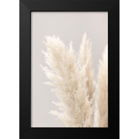Pampas Grass Grey 03 Black Modern Wood Framed Art Print by 1x Studio III