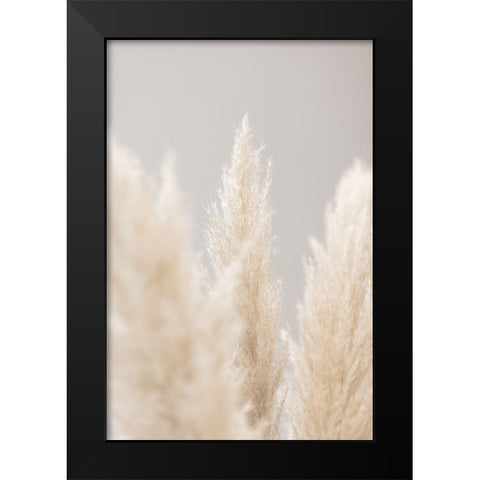 Pampas Grass Grey 04 Black Modern Wood Framed Art Print by 1x Studio III