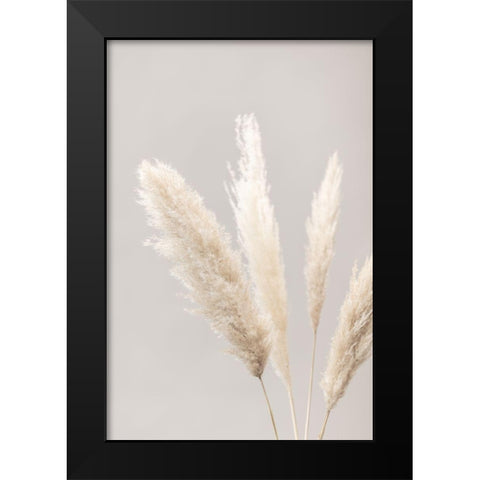 Pampas Grass Grey 06 Black Modern Wood Framed Art Print by 1x Studio III