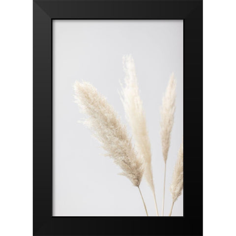 Pampas Grass Grey 08 Black Modern Wood Framed Art Print by 1x Studio III