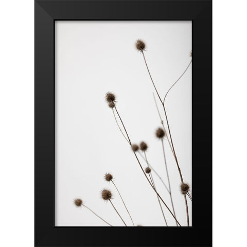 Thistle Grey 01 Black Modern Wood Framed Art Print by 1x Studio III